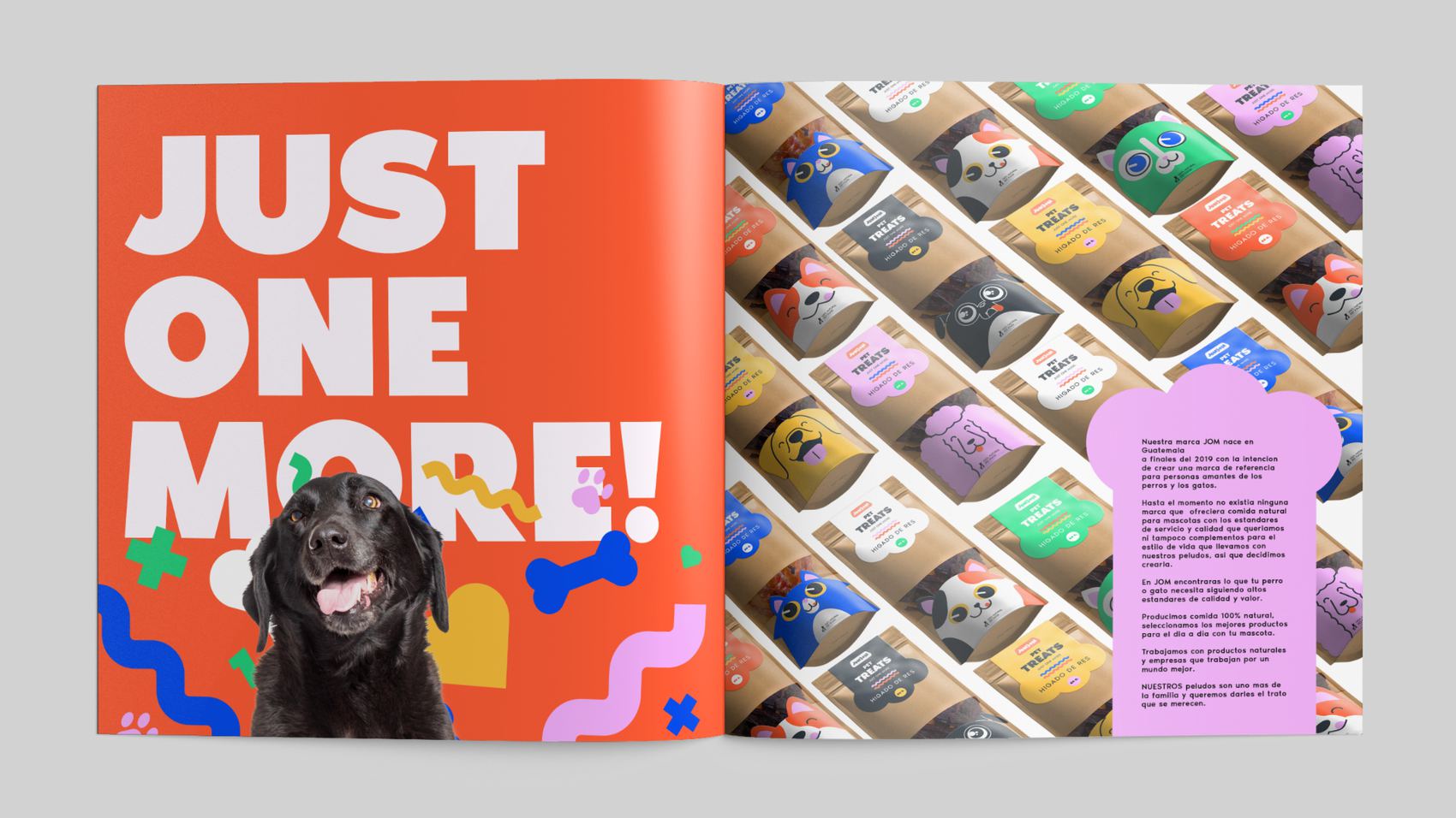 The brochure with the Just One More tagline